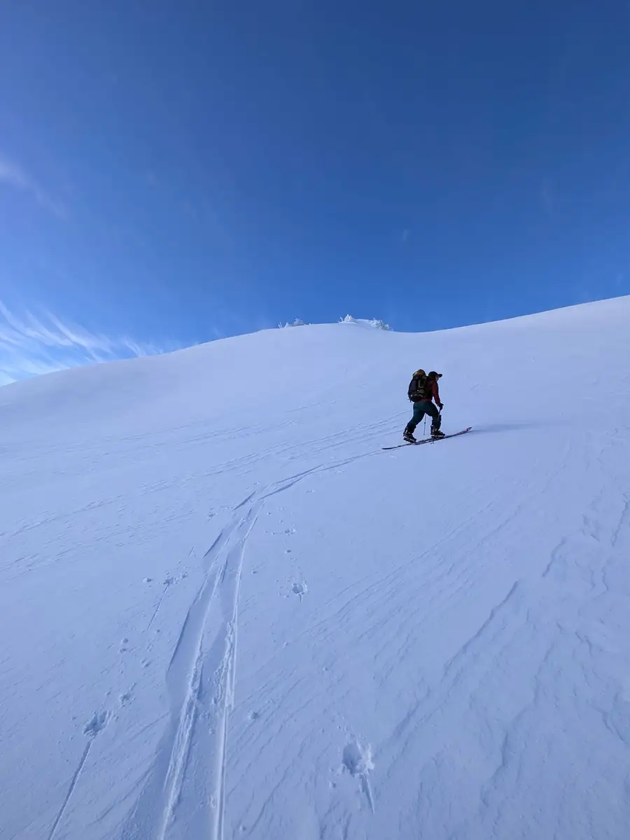 A lone ski tourer skinning up a wind-smoothed ridge under a bluebird sky
