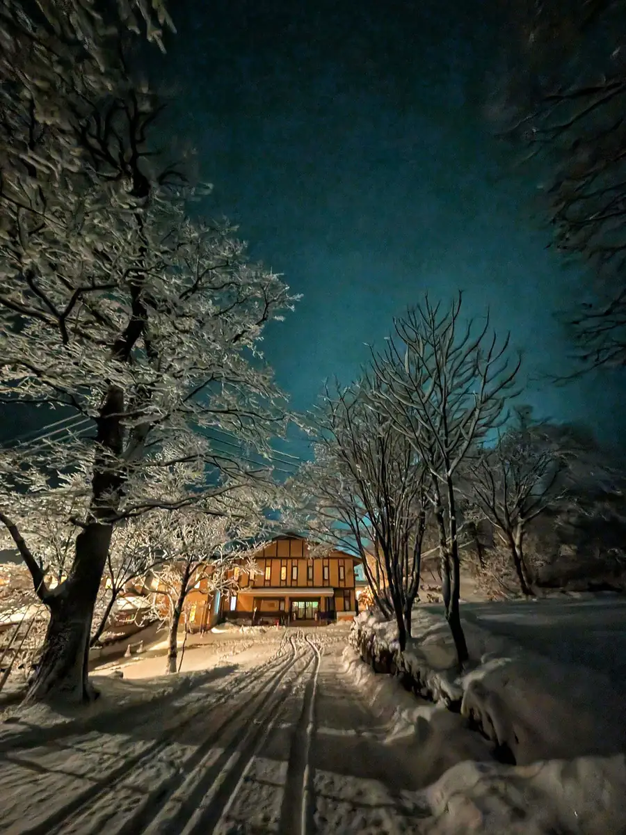 The snow-lined road to Kyounso, lit under frost-covered trees at night