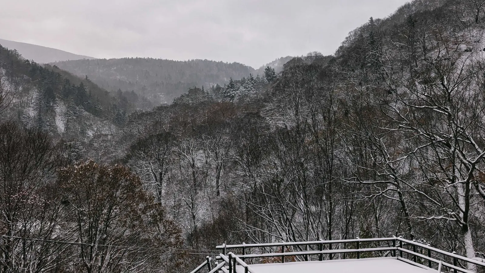 初積雪となりました