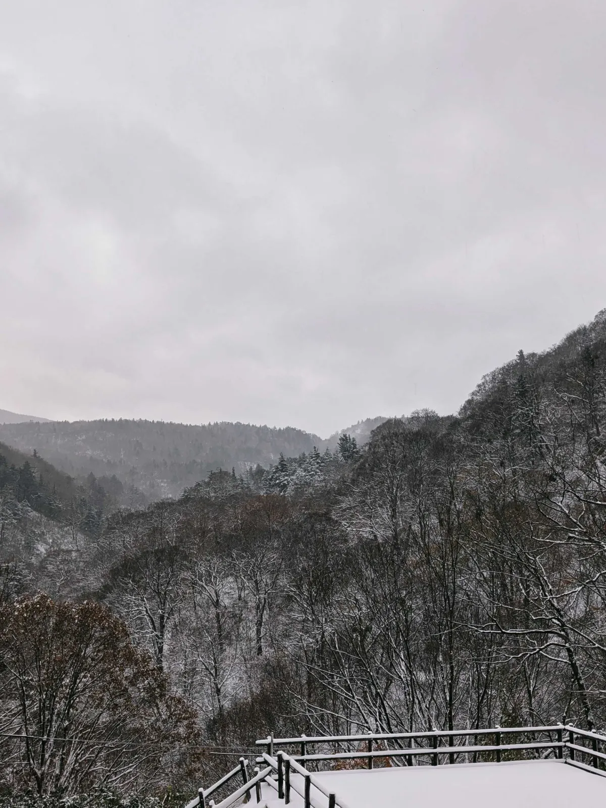 雪景色の渓谷をロビーから